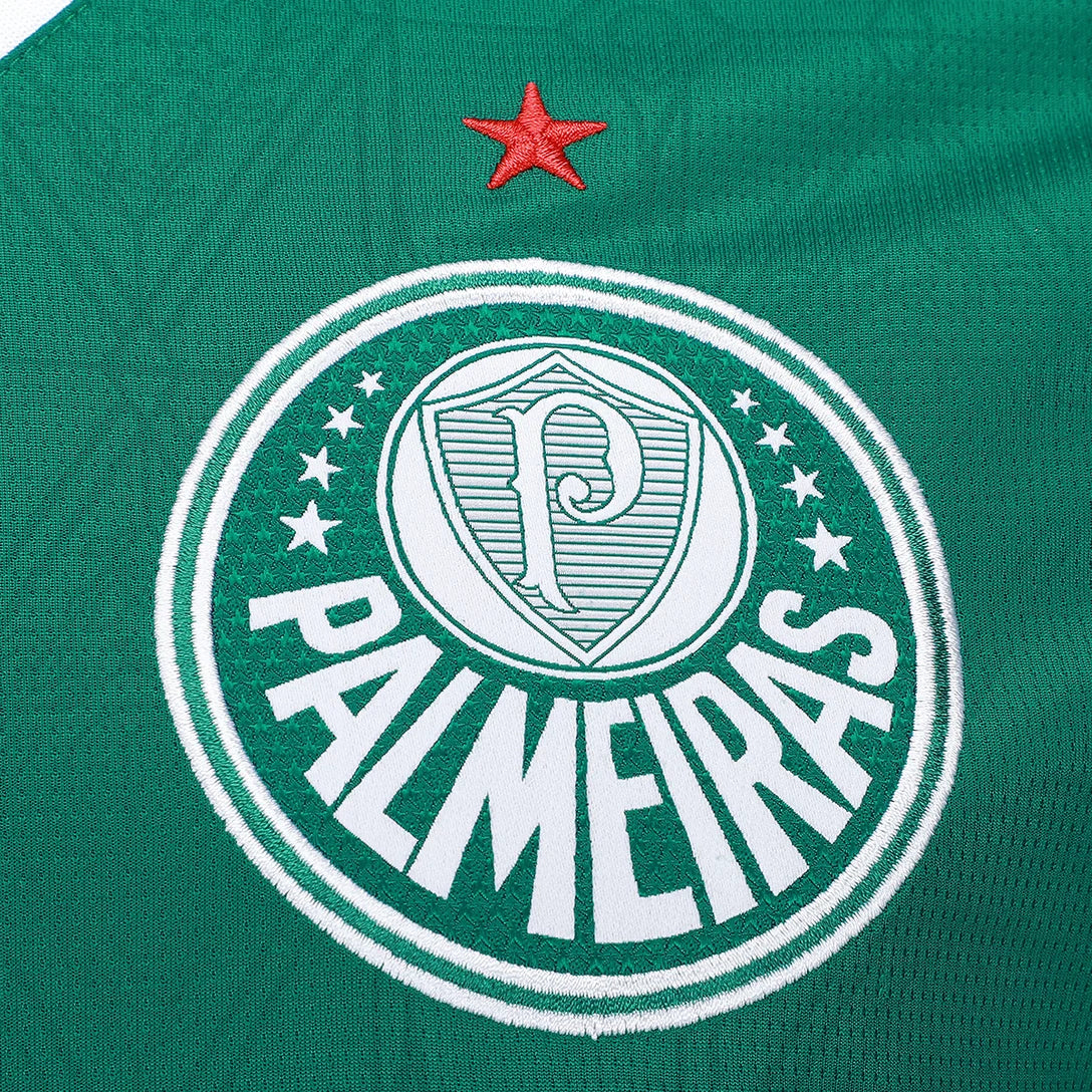 camisa-palmeiras-i-25-26-torcedor-puma-masculina-verde