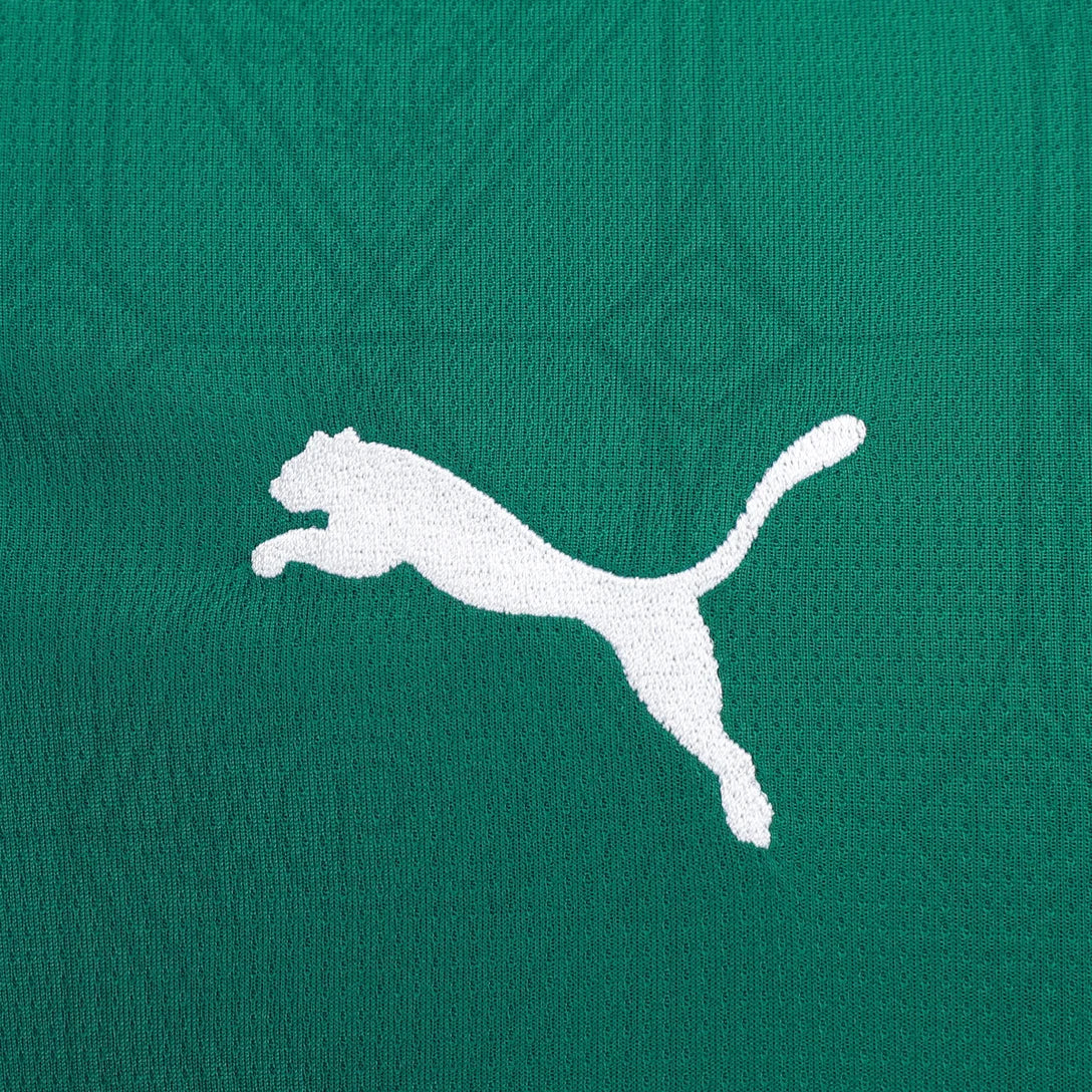 camisa-palmeiras-i-25-26-torcedor-puma-masculina-verde