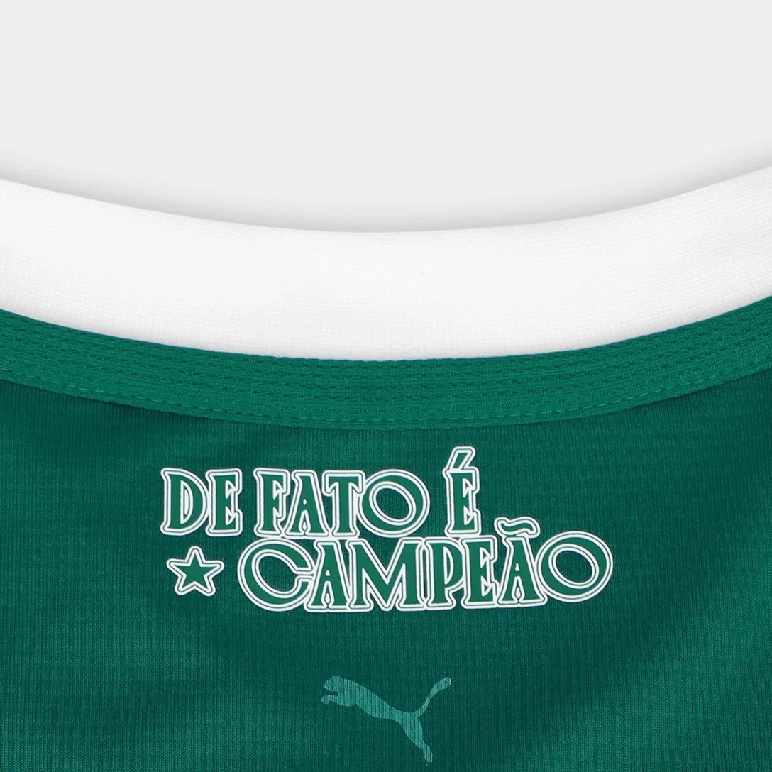 camisa-palmeiras-i-25-26-torcedor-puma-masculina-verde
