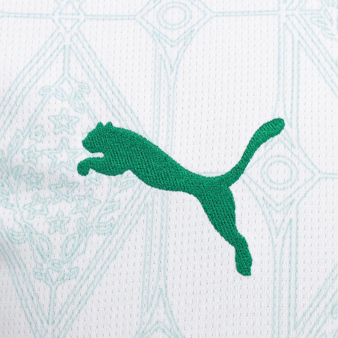 camisa-palmeiras-ii-25-26-torcedor-puma-masculina-branca-e-verde