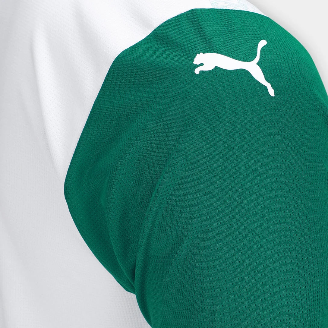 camisa-palmeiras-ii-25-26-torcedor-puma-masculina-branca-e-verde