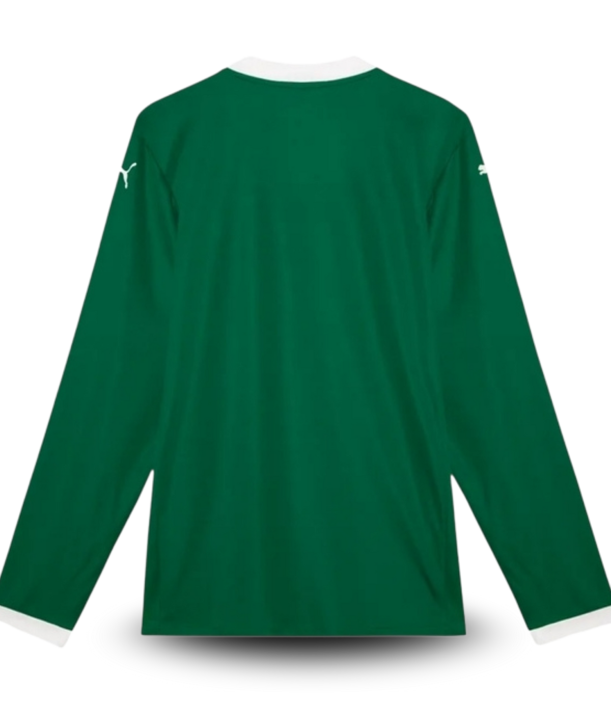 camisa-i-palmeiras-25-26-manga-longa-torcedor-puma-masculina-verde