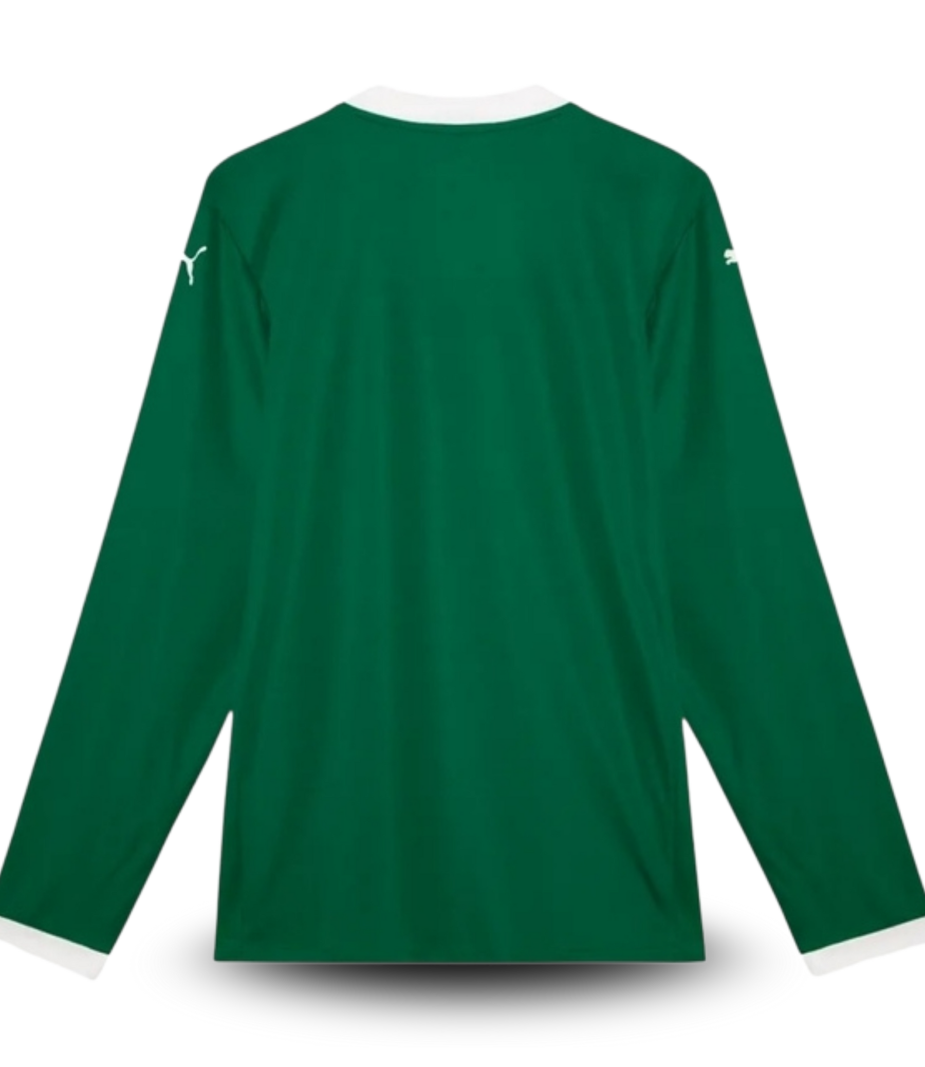 camisa-i-palmeiras-25-26-manga-longa-torcedor-puma-masculina-verde
