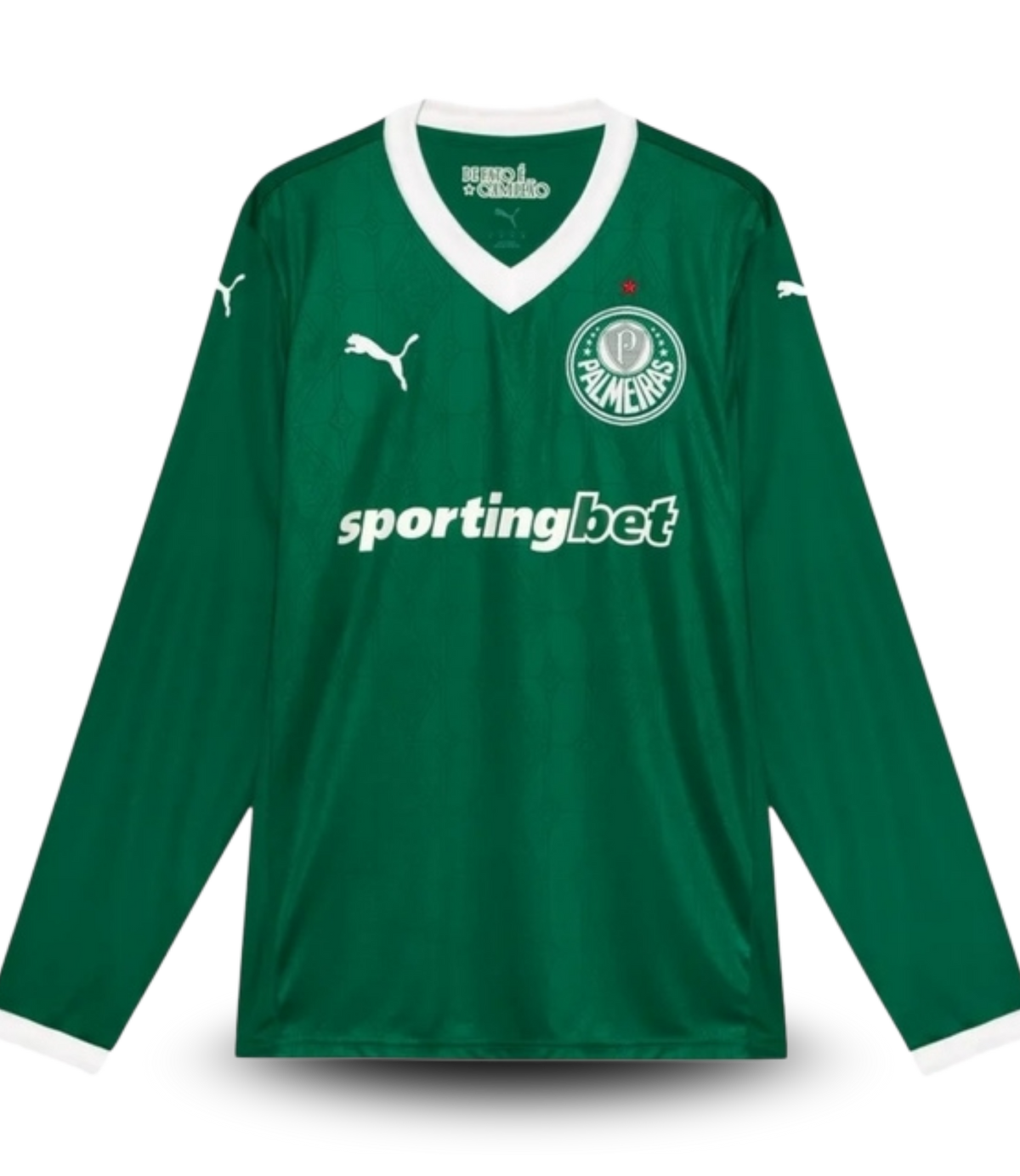 camisa-i-palmeiras-25-26-manga-longa-torcedor-puma-masculina-verde