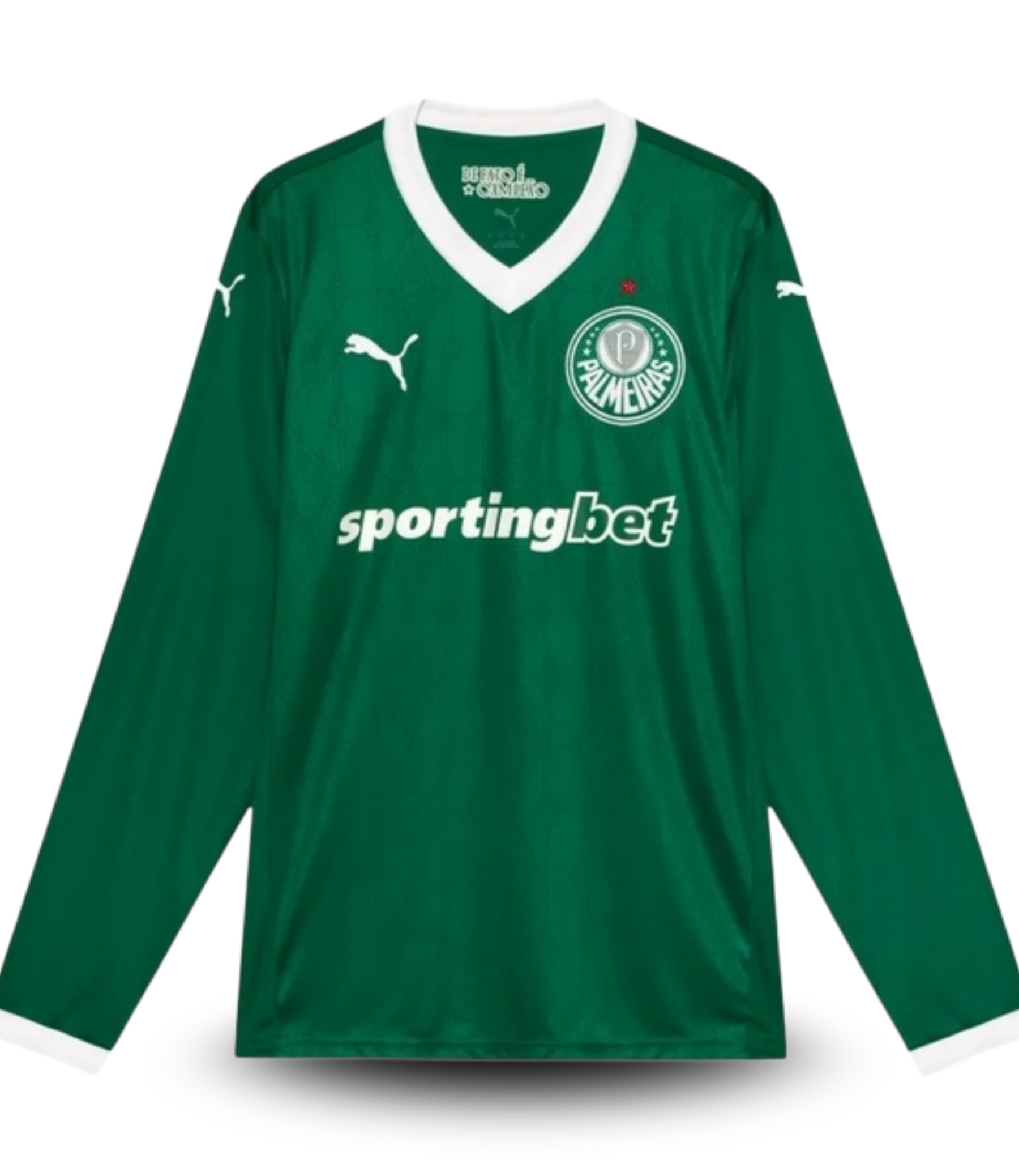 camisa-i-palmeiras-25-26-manga-longa-torcedor-puma-masculina-verde