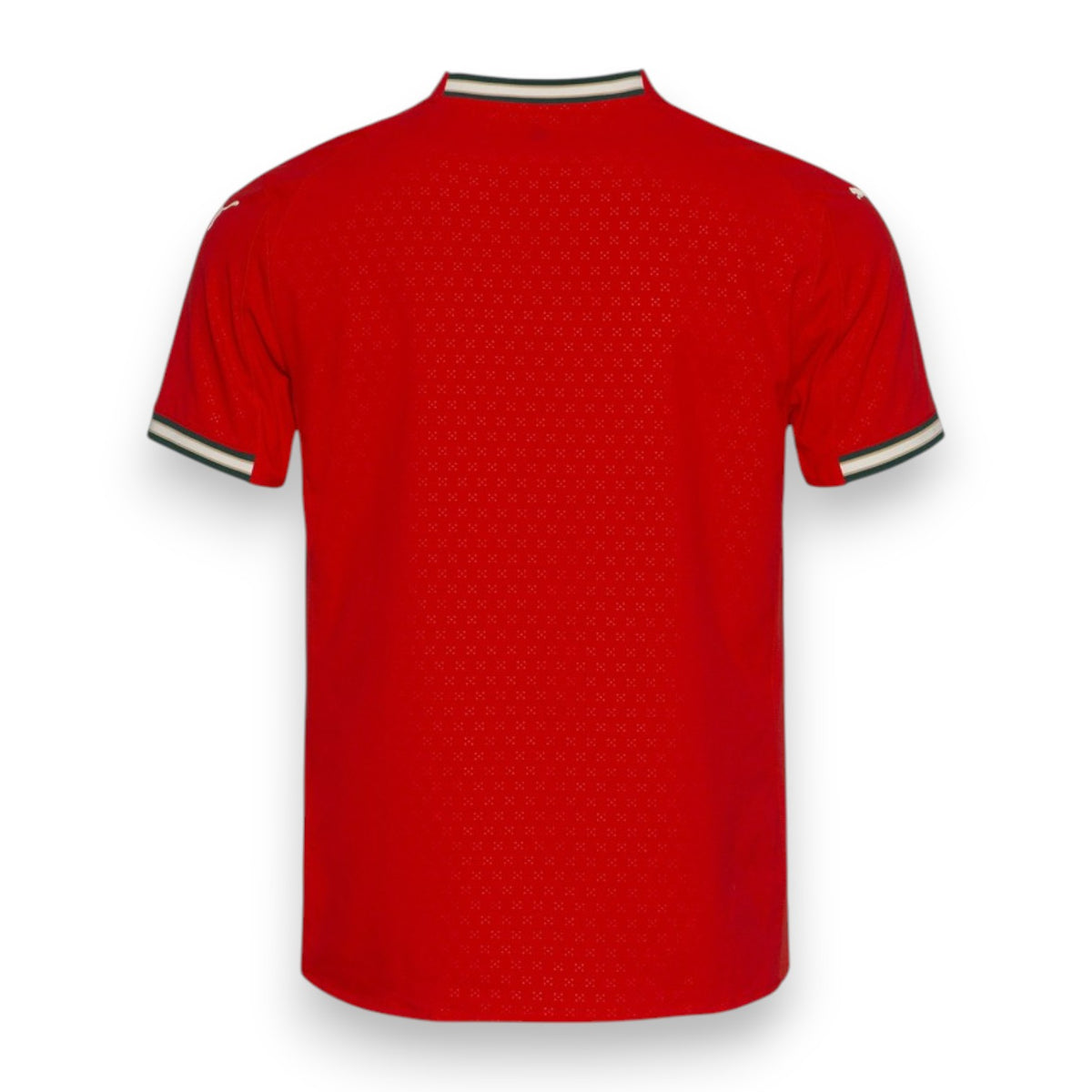 camisa-i-portugal-25-26-torcedor-puma-masculina-vermelho