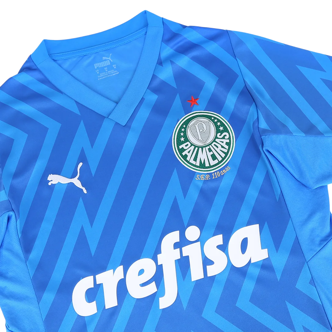 camisa-palmeiras-goleiro-i-24-25-torcedor-puma-masculina-azul