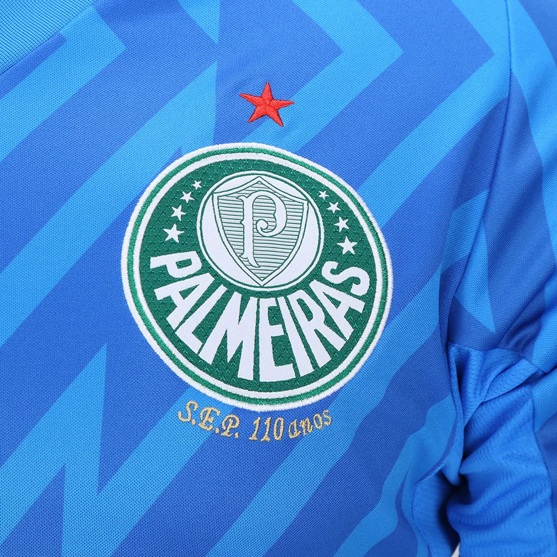 camisa-palmeiras-goleiro-i-24-25-torcedor-puma-masculina-azul