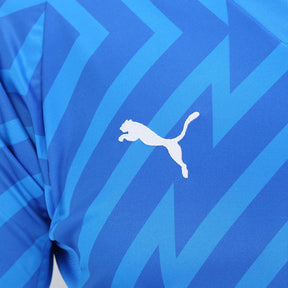 camisa-palmeiras-goleiro-i-24-25-torcedor-puma-masculina-azul