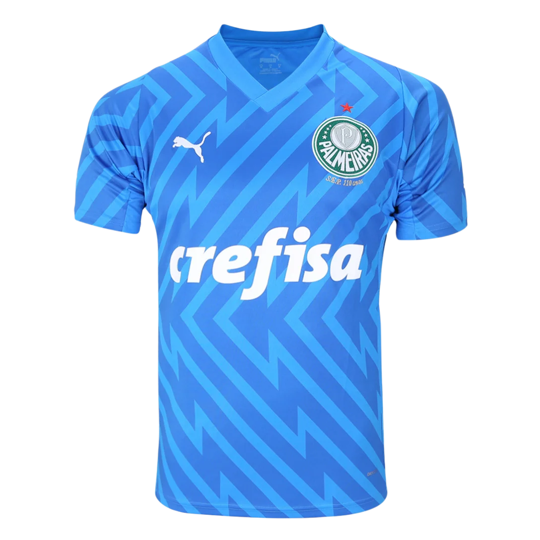 camisa-palmeiras-goleiro-i-24-25-torcedor-puma-masculina-azul