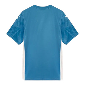 camisa-palmeiras-goleiro-i-25-26-torcedor-puma-masculina-azul
