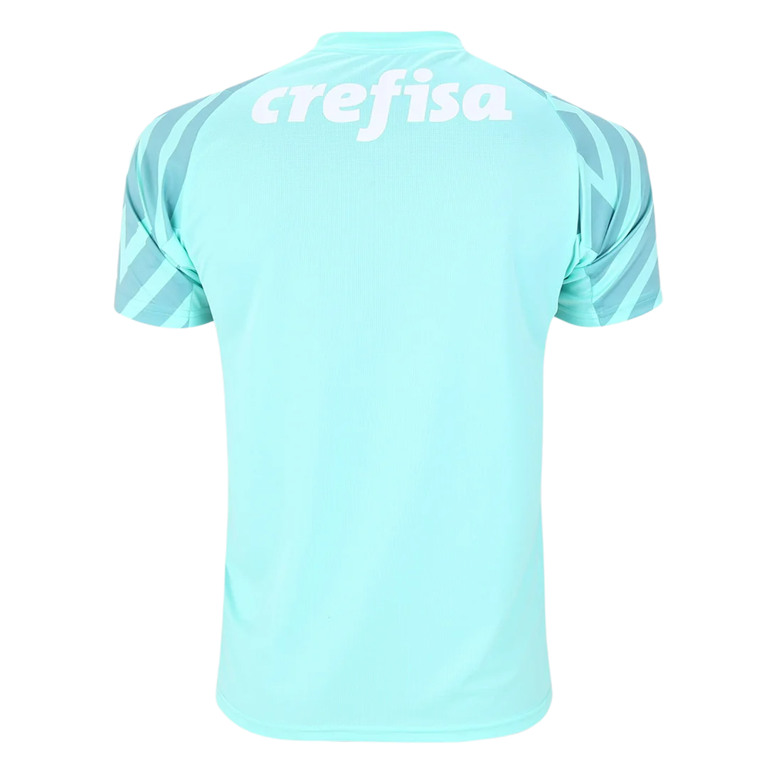 camisa-palmeiras-goleiro-ii-24-25-torcedor-puma-masculina-verde