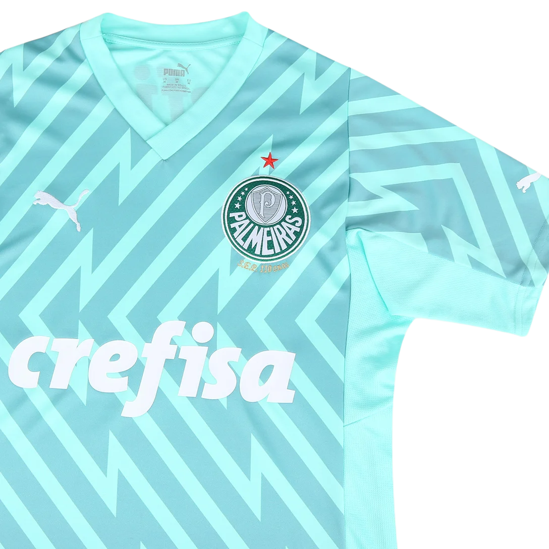 camisa-palmeiras-goleiro-ii-24-25-torcedor-puma-masculina-verde