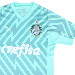 camisa-palmeiras-goleiro-ii-24-25-torcedor-puma-masculina-verde