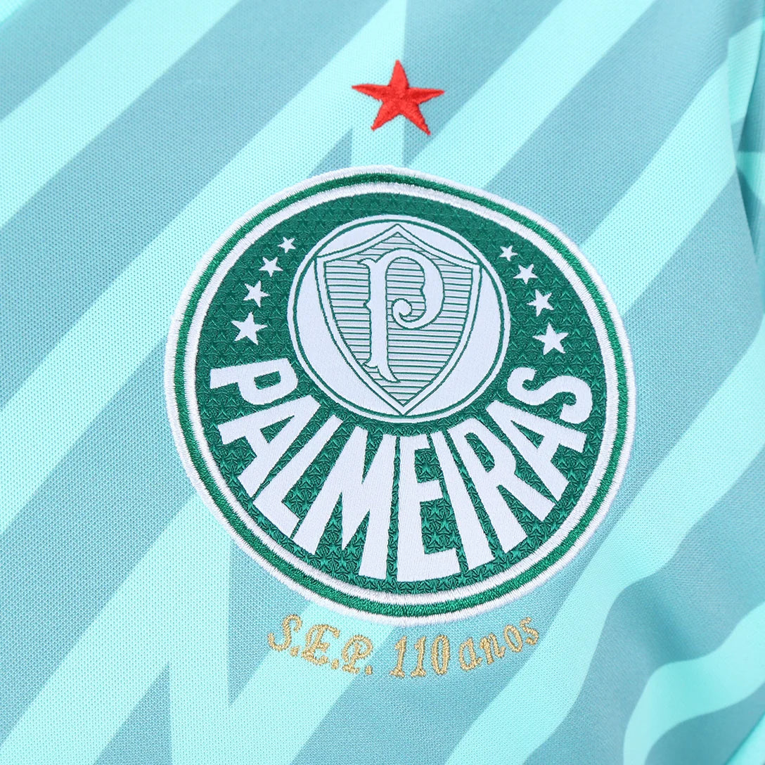 camisa-palmeiras-goleiro-ii-24-25-torcedor-puma-masculina-verde