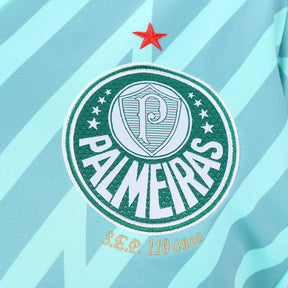 camisa-palmeiras-goleiro-ii-24-25-torcedor-puma-masculina-verde