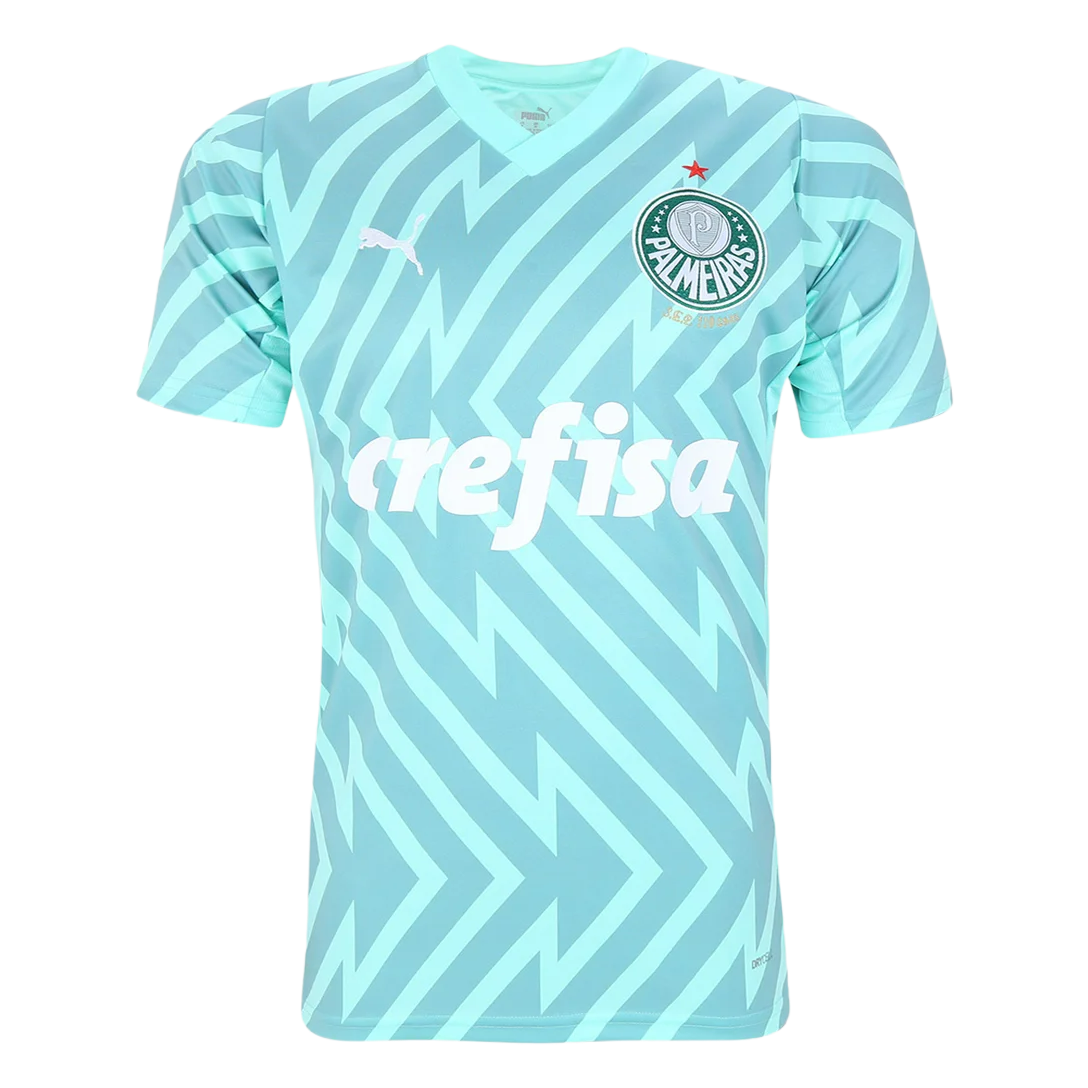 camisa-palmeiras-goleiro-ii-24-25-torcedor-puma-masculina-verde