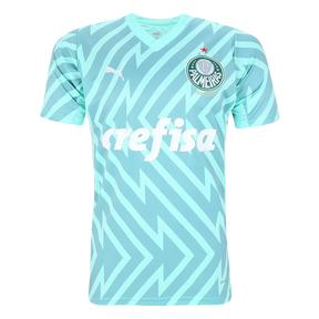 camisa-palmeiras-goleiro-ii-24-25-torcedor-puma-masculina-verde
