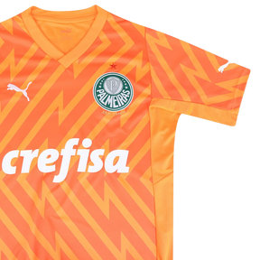 camisa-palmeiras-goleiro-iii-24-25-torcedor-puma-masculina-laranja