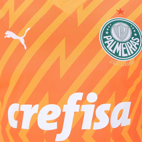 camisa-palmeiras-goleiro-iii-24-25-torcedor-puma-masculina-laranja