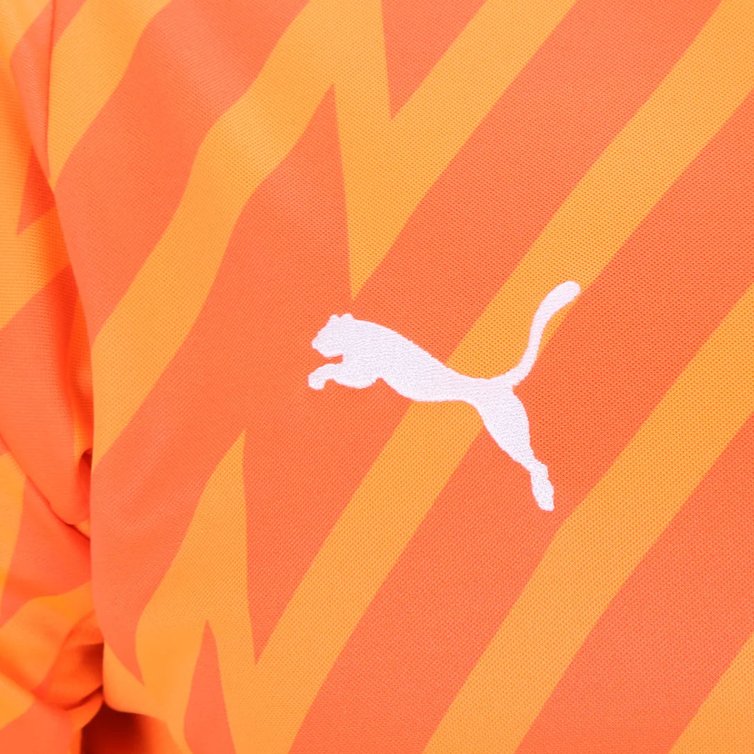 camisa-palmeiras-goleiro-iii-24-25-torcedor-puma-masculina-laranja