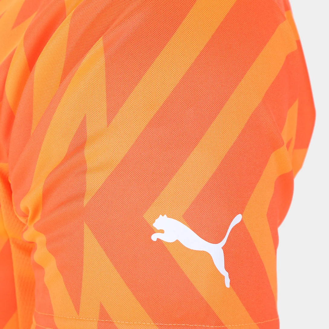 camisa-palmeiras-goleiro-iii-24-25-torcedor-puma-masculina-laranja