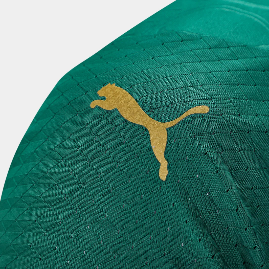 camisa-palmeiras-i-24-25-jogador-puma-masculina-verde