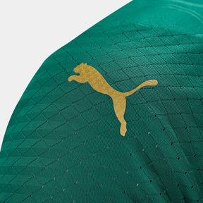 camisa-palmeiras-i-24-25-jogador-puma-masculina-verde