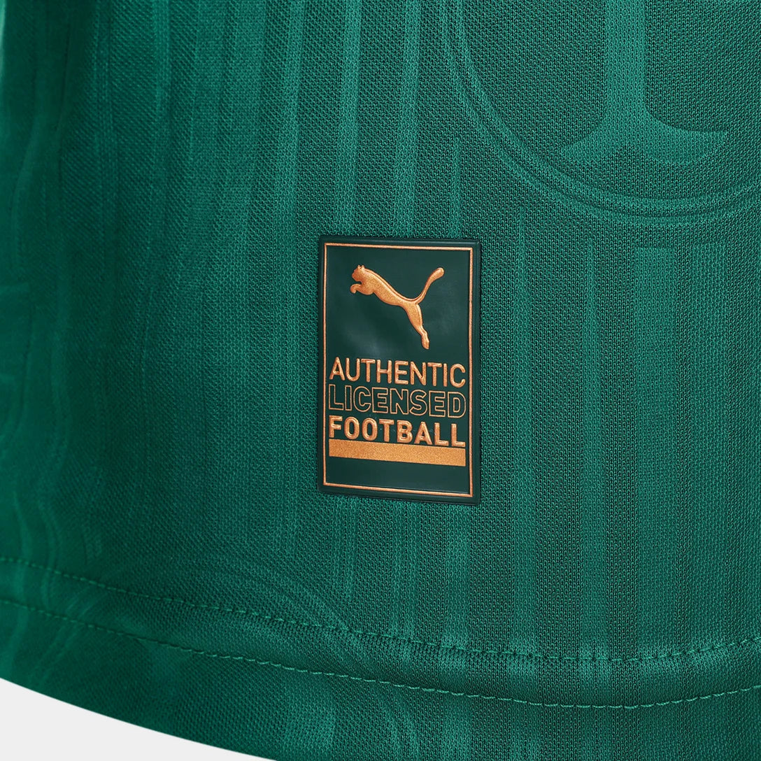 camisa-palmeiras-i-24-25-jogador-puma-masculina-verde