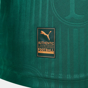 camisa-palmeiras-i-24-25-jogador-puma-masculina-verde