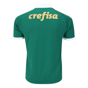 camisa-palmeiras-i-24-25-torcedor-puma-masculina-verde