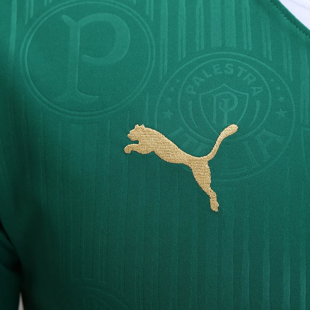 camisa-palmeiras-i-24-25-torcedor-puma-masculina-verde