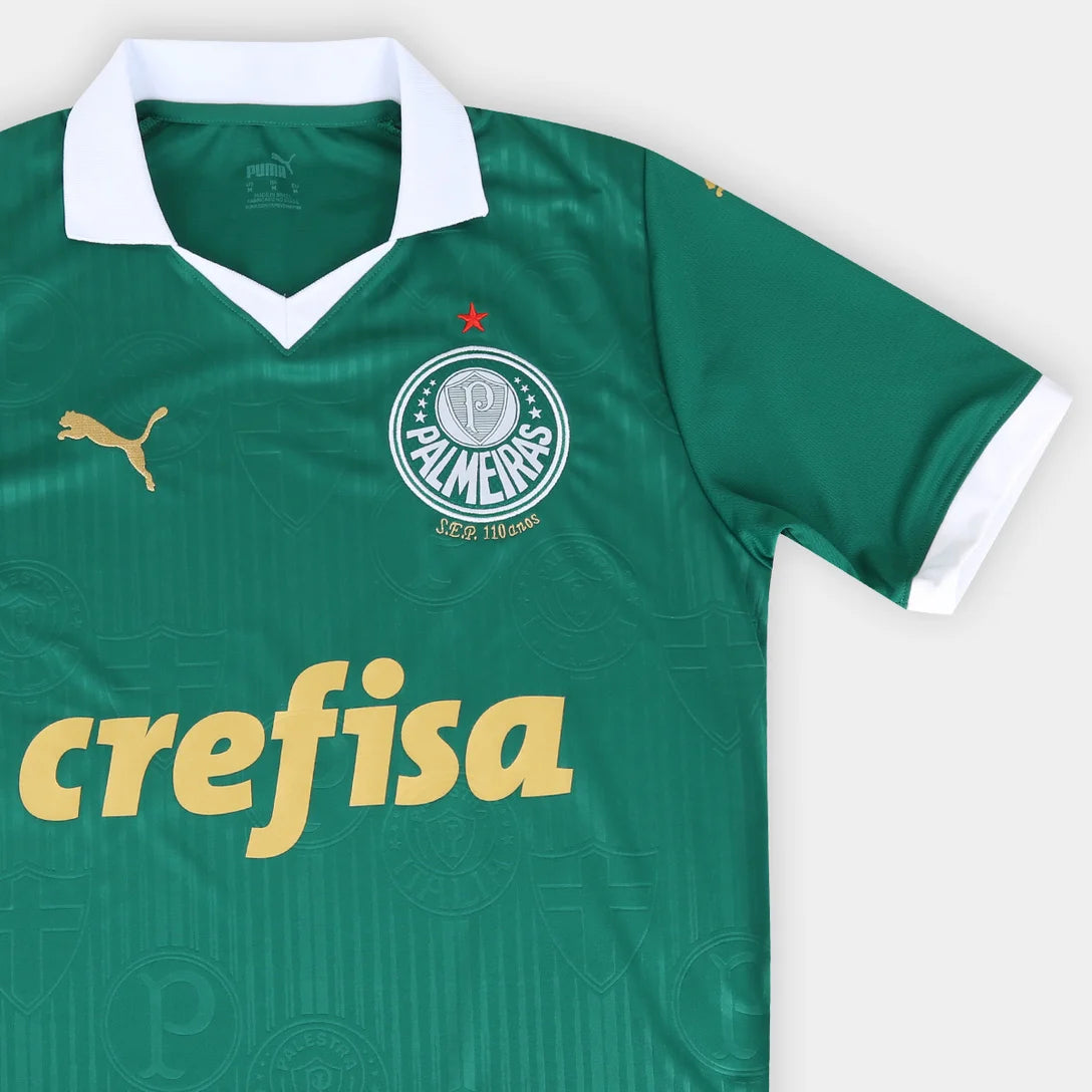 camisa-palmeiras-i-24-25-torcedor-puma-masculina-verde