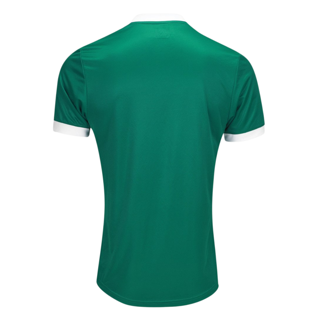 camisa-palmeiras-i-25-26-jogador-puma-masculina-verde