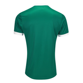 camisa-palmeiras-i-25-26-jogador-puma-masculina-verde
