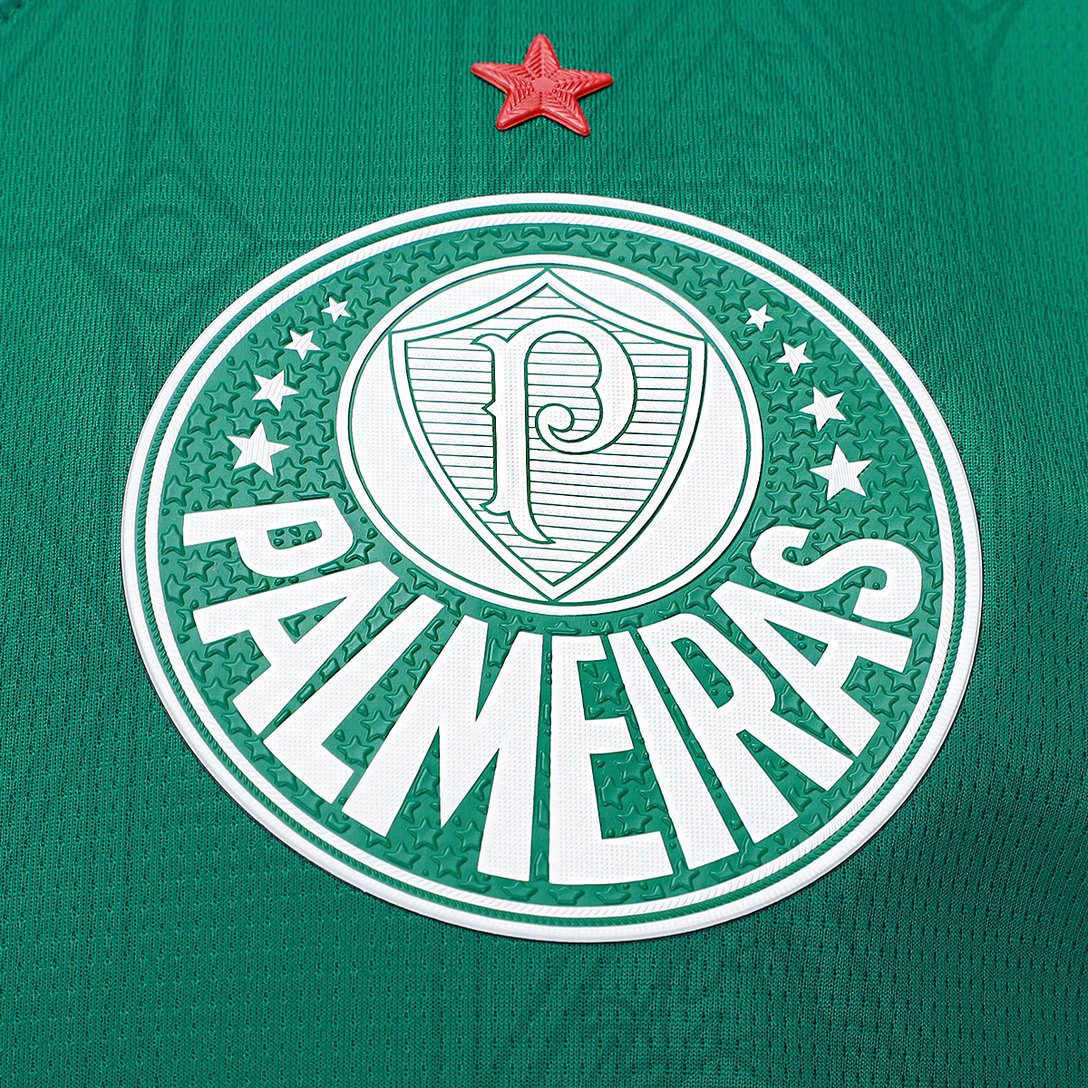 camisa-palmeiras-i-25-26-jogador-puma-masculina-verde
