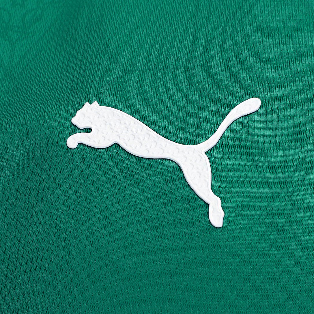 camisa-palmeiras-i-25-26-jogador-puma-masculina-verde