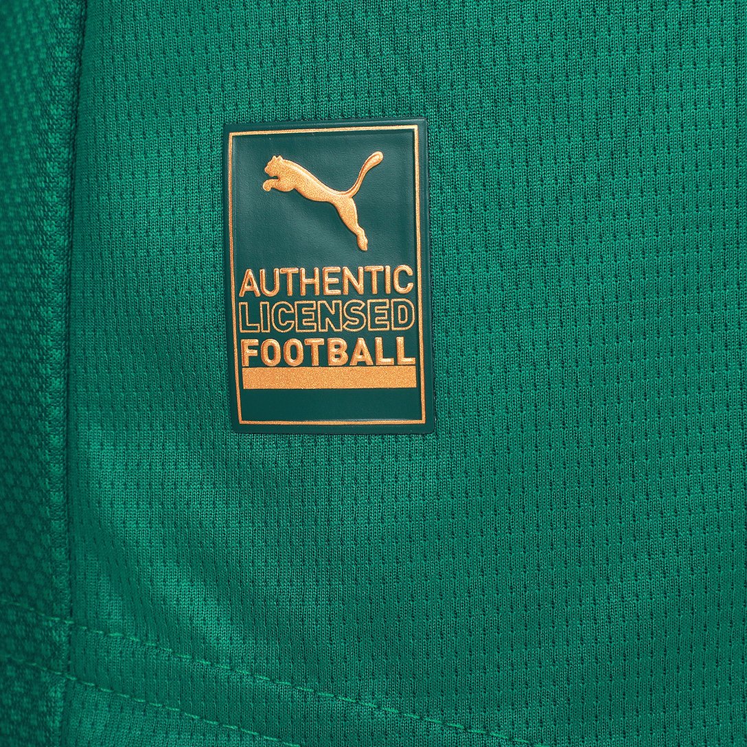 camisa-palmeiras-i-25-26-jogador-puma-masculina-verde