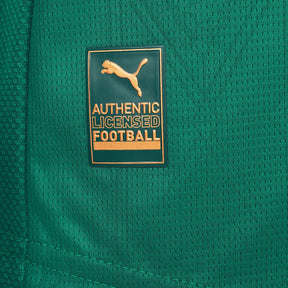 camisa-palmeiras-i-25-26-jogador-puma-masculina-verde