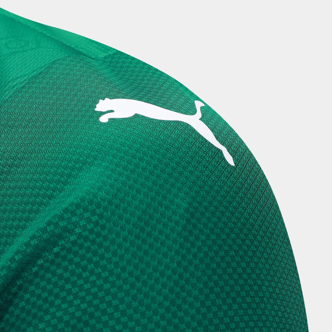 camisa-palmeiras-i-25-26-jogador-puma-masculina-verde