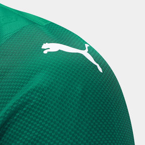 camisa-palmeiras-i-25-26-jogador-puma-masculina-verde