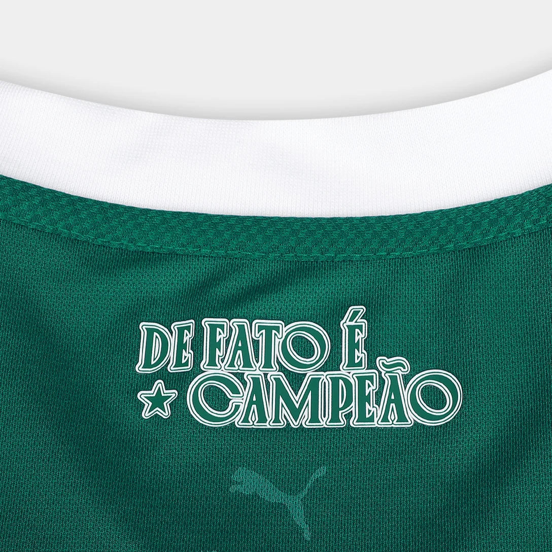 camisa-palmeiras-i-25-26-jogador-puma-masculina-verde