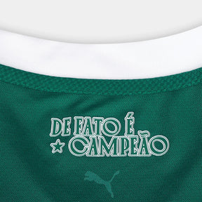 camisa-palmeiras-i-25-26-jogador-puma-masculina-verde
