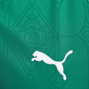 camisa-palmeiras-i-25-26-torcedor-puma-feminina-verde