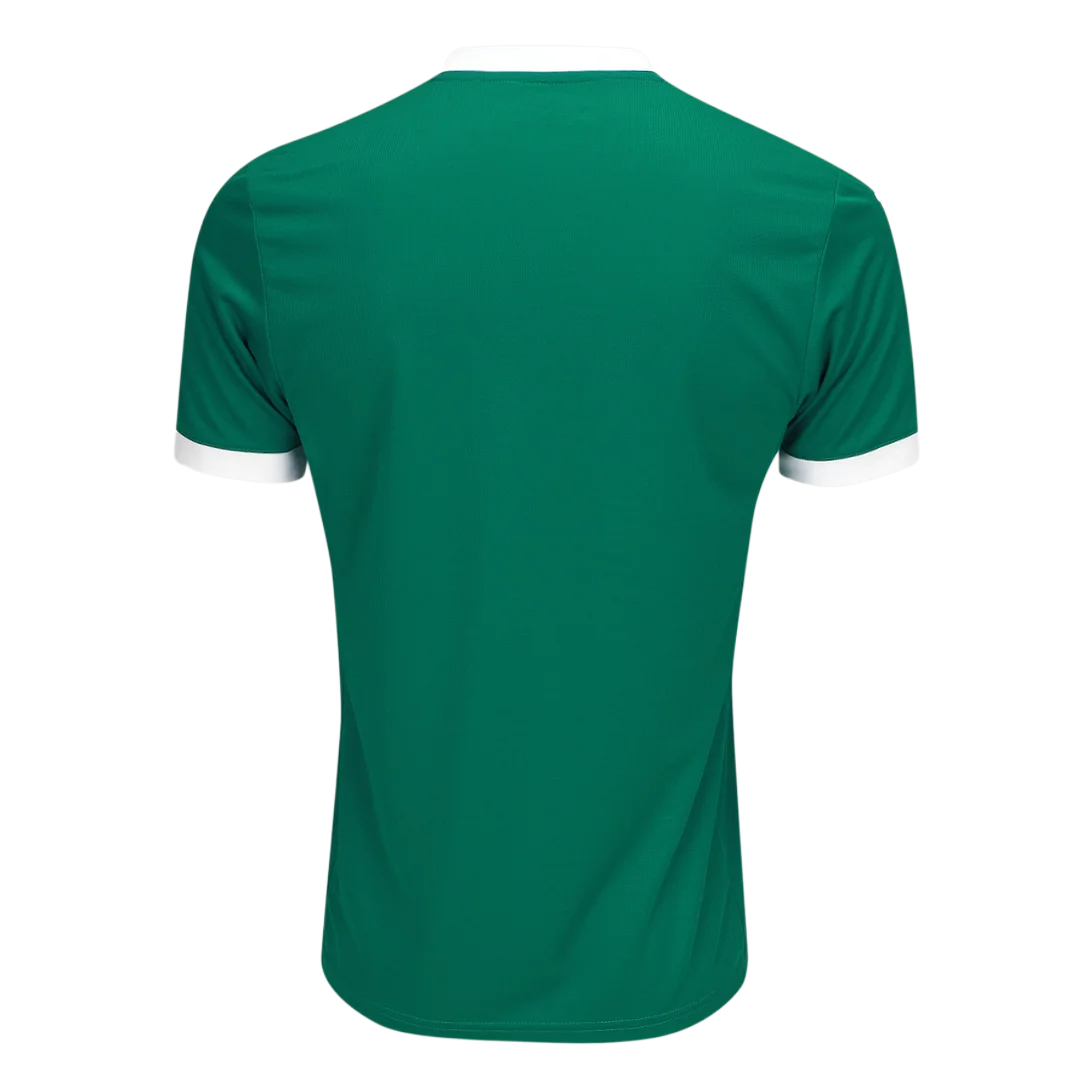 camisa-palmeiras-i-25-26-torcedor-puma-masculina-verde