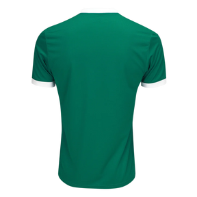 camisa-palmeiras-i-25-26-torcedor-puma-masculina-verde