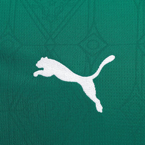 camisa-palmeiras-i-25-26-torcedor-puma-masculina-verde