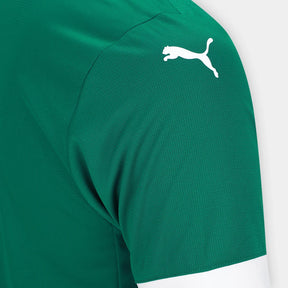 camisa-palmeiras-i-25-26-torcedor-puma-masculina-verde