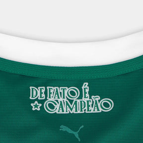 camisa-palmeiras-i-25-26-torcedor-puma-masculina-verde