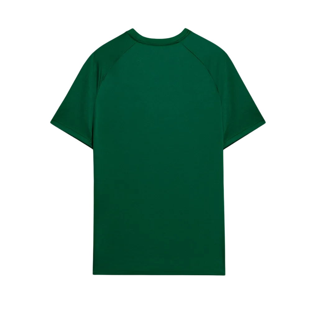 camisa-palmeiras-pre-jogo-24-25-torcedor-puma-masculina-verde-1